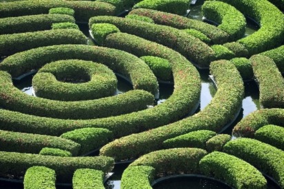 Hedge maze